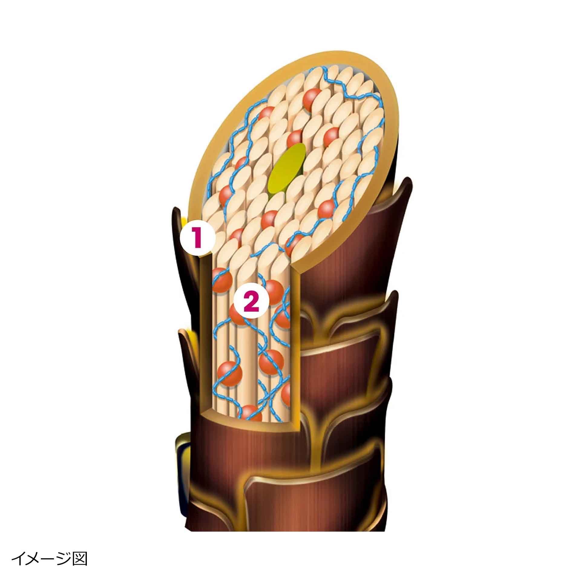 alluria fasion cls three