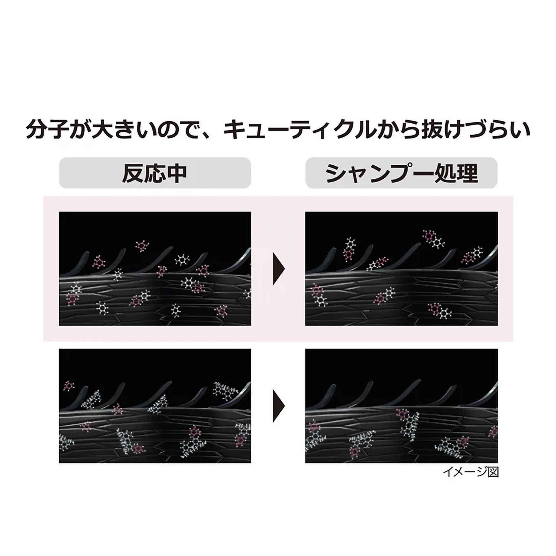 ロレアルプロフェッショナル | 美容師様向けプロフェッショナル