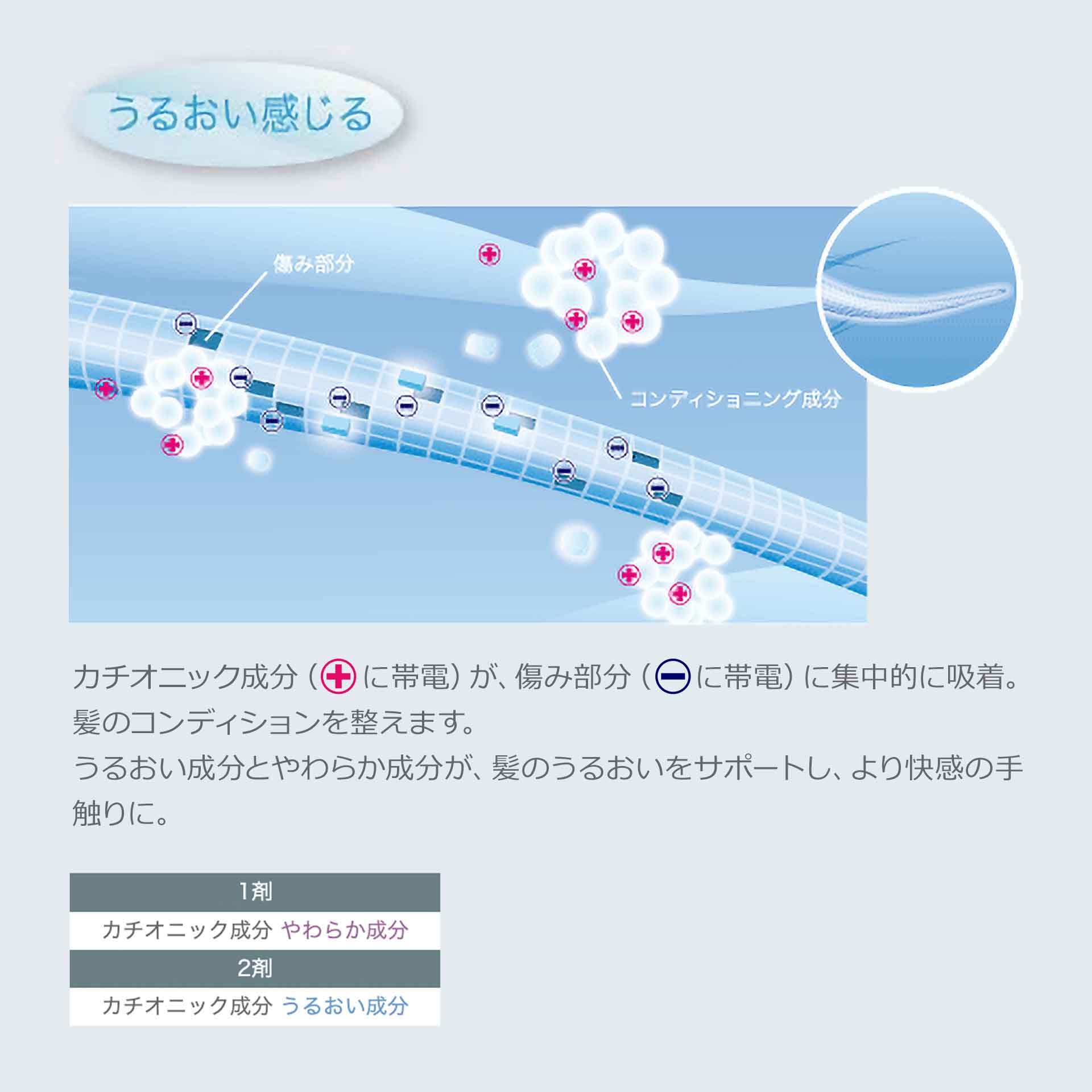 xtenso moisturist two