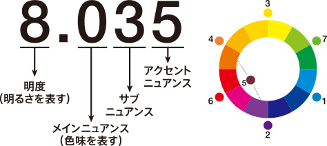 イノアカラーチャートはこちらです Inoaオイルグロス発色 Cocotier ココティエ 熊本市中央区子飼 美容室 ホームページ